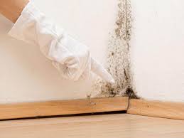 Best Attic Mold Removal  in Frankfort, KY